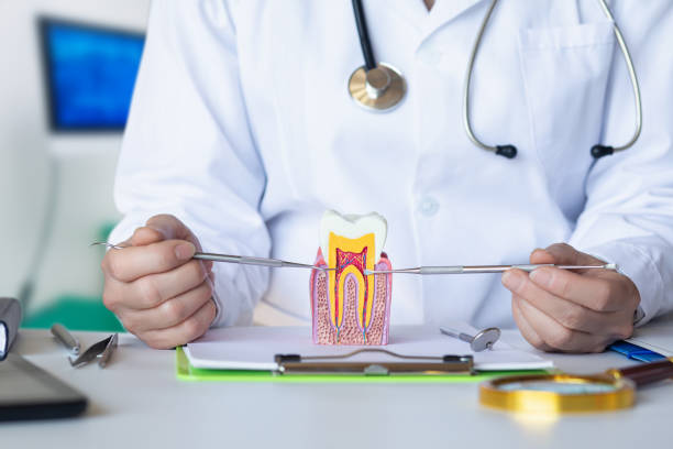 Best Weekend Emergency Dentist in Ironton, OH